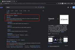 一文教你快速注册OpenAi（ChatGPT），国内也可以！/保姆级教程